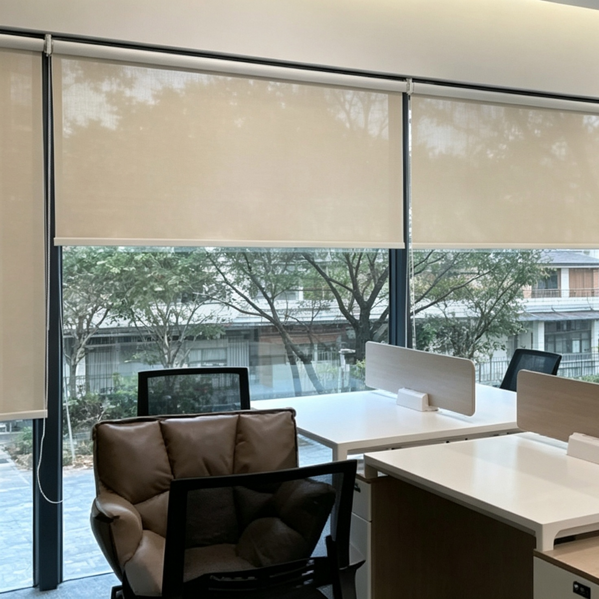 Roller Blinds